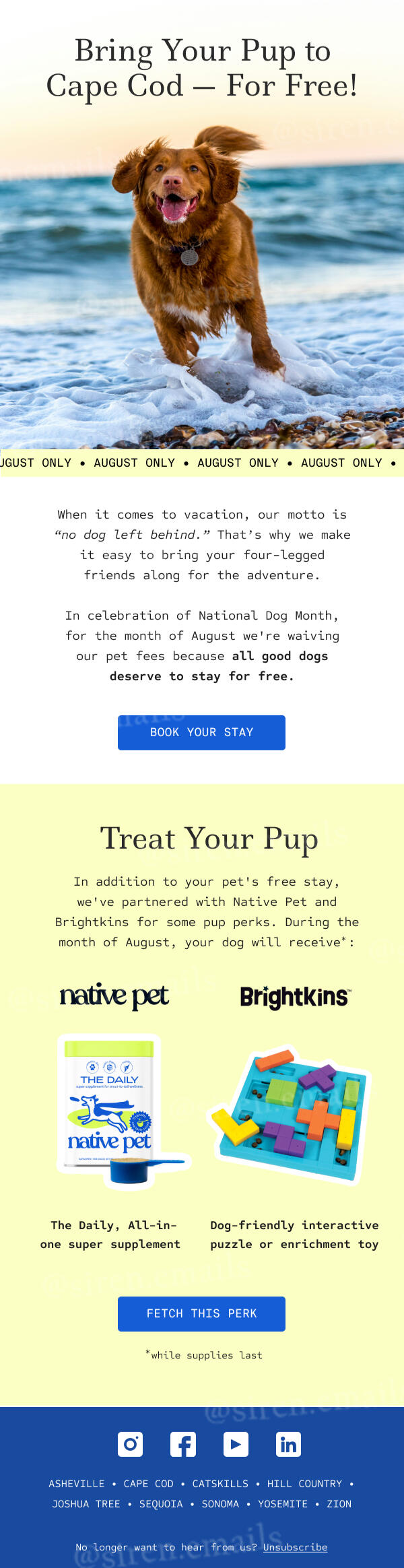 camp email - siren emails camp email - siren emails